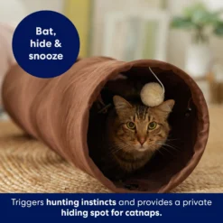 Frisco 35-in Foldable Crinkle Play Tunnel With 1 Window -Meowverse Store 140166 PT3. AC SS1800 V1695670685