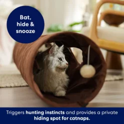 Frisco 47-in Foldable Crinkle Play Tunnel With 2 Windows 8 Frisco 47-in Foldable Crinkle Play Tunnel With 2 Windows -Meowverse Store 140168 PT3. AC SS1800 V1695241917