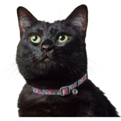 Frisco Rose Polyester Breakaway Cat Collar With Bell -Meowverse Store 153160 PT3. AC SS1800 V1701796877