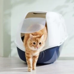 Frisco Hooded Cat Litter Box