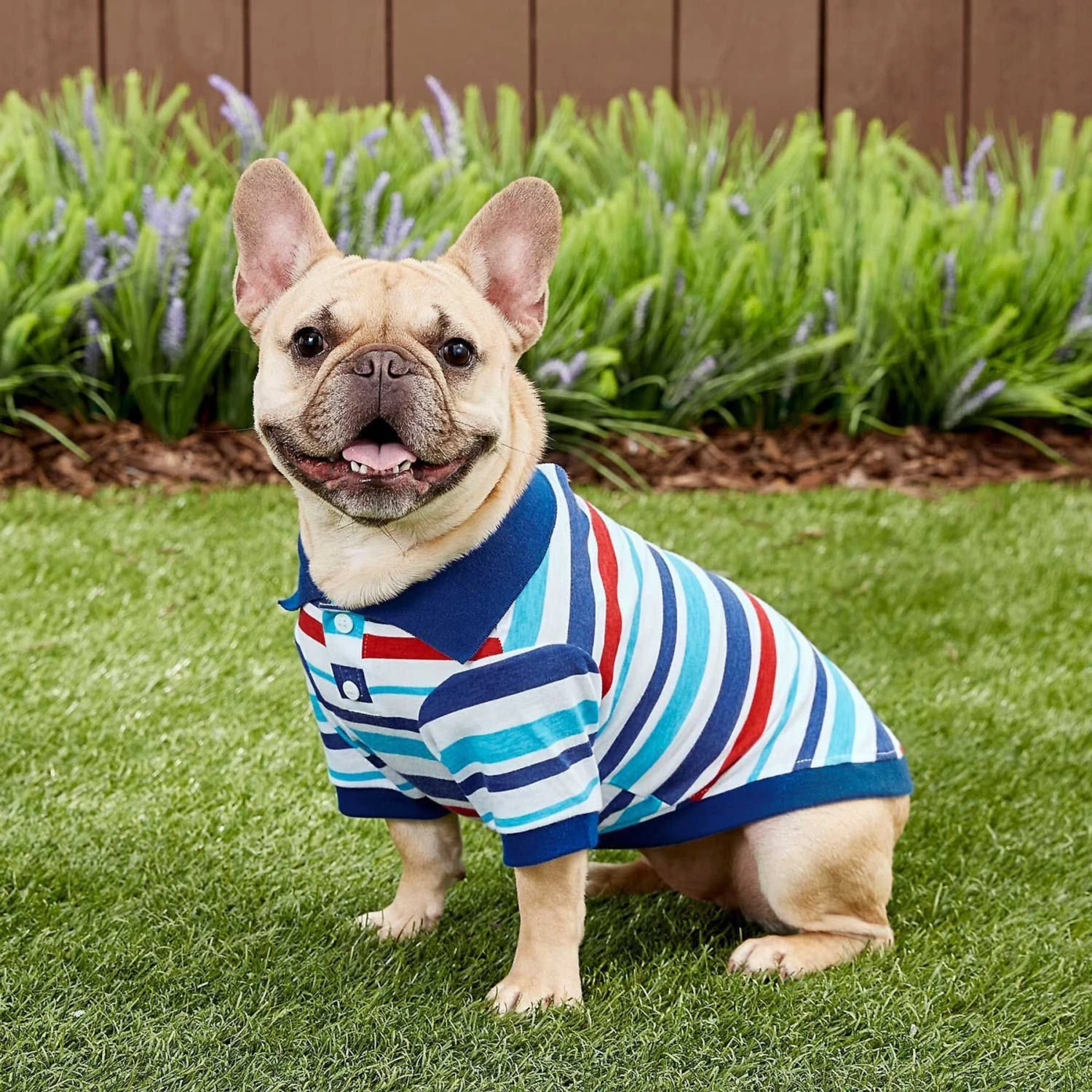 Frisco Striped Dog & Cat Polo Shirt, Red & Blue 1 Frisco Striped Dog & Cat Polo Shirt, Red & Blue