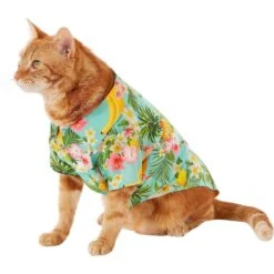 Frisco Pineapple Hawaiian Camp Dog & Cat Shirt 11 Frisco Pineapple Hawaiian Camp Dog & Cat Shirt -Meowverse Store 153596 PT2. AC SS1800 V1673304512