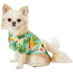 Frisco Pineapple Hawaiian Camp Dog & Cat Shirt 12 Frisco Pineapple Hawaiian Camp Dog & Cat Shirt -Meowverse Store 153596 PT3. AC SS1800 V1673361409