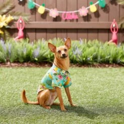 Frisco Pineapple Hawaiian Camp Dog & Cat Shirt 16 Frisco Pineapple Hawaiian Camp Dog & Cat Shirt -Meowverse Store 153596 PT7. AC SS1800 V1644884316