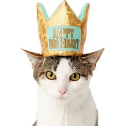 Frisco Happy Birthday Dog & Cat Crown 8 Frisco Happy Birthday Dog & Cat Crown -Meowverse Store 153665 PT2. AC SS1800 V1551230979