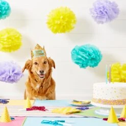 Frisco Happy Birthday Dog & Cat Crown 11 Frisco Happy Birthday Dog & Cat Crown -Meowverse Store 153665 PT5. AC SS1800 V1551231039