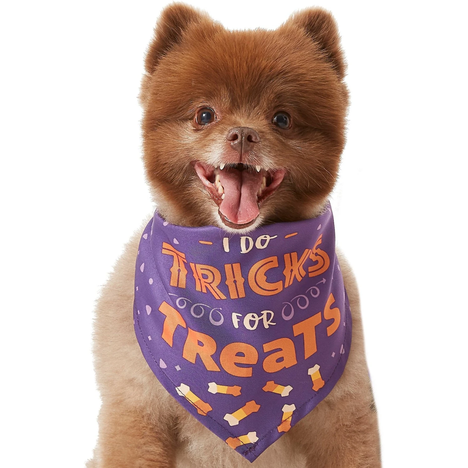 Frisco I Do Tricks For Treats Dog & Cat Bandana 1 Frisco I Do Tricks For Treats Dog & Cat Bandana