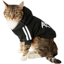 Frisco Püppy Dog Athletic Hoodie -Meowverse Store 160342 PT3. AC SS1800 V1637716325