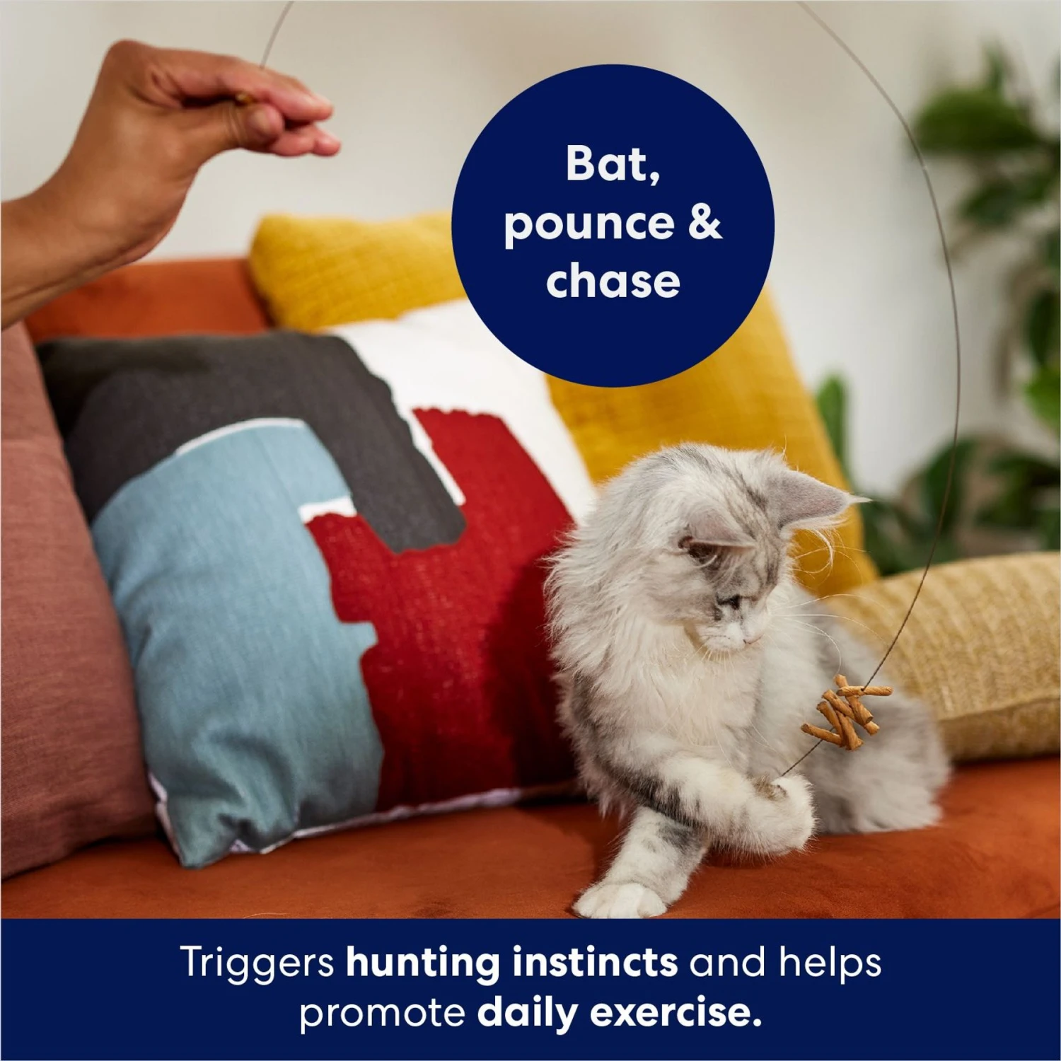 Frisco Cardboard & Wire Teaser Cat Toy 3 Frisco Cardboard & Wire Teaser Cat Toy - Image 3