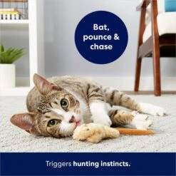 Frisco Skinny Mouse Plush Cat Toy With Catnip -Meowverse Store 161268 PT5. AC SS1800 V1686578718