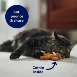 Frisco Squirrel Plush Cat Toy With Refillable Catnip -Meowverse Store 161271 PT3. AC SS1800 V1678723897