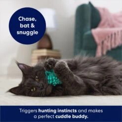 Frisco Moppy Ball Cat Toy With Catnip -Meowverse Store 161280 PT3. AC SS1800 V1686580106