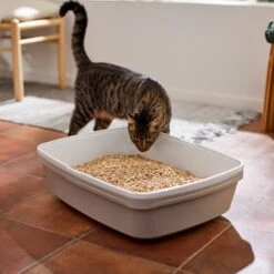 Frisco Pine Pellet Unscented Non-Clumping Wood Cat Litter -Meowverse Store 161458 PT4. AC SS1800 V1659023182