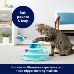 Frisco Butterfly Cat Tracks Cat Toy -Meowverse Store 161805 PT2. AC SS1800 V1678723852