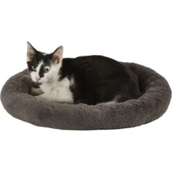 Frisco Self Warming Bolster Round Kitten Bed 5 Frisco Self Warming Bolster Round Kitten Bed -Meowverse Store 165315 PT2. AC SS1800 V1568211141