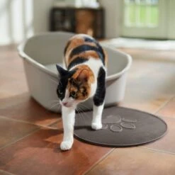 Frisco Shaped Cat Litter Mat 6 Frisco Shaped Cat Litter Mat -Meowverse Store 166306 PT3. AC SS1800 V1675279990