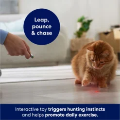 Frisco 2-in-1 Laser & LED Light Laser Cat Toy -Meowverse Store 166309 PT3. AC SS1800 V1686579688