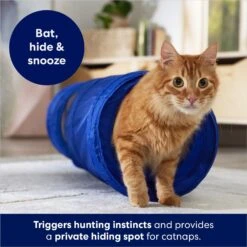 Frisco Foldable Play Tunnel With Mesh Cat Toy 6 Frisco Foldable Play Tunnel With Mesh Cat Toy -Meowverse Store 166385 PT2. AC SS1800 V1686580143