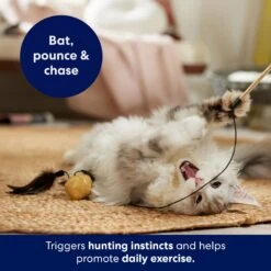 Frisco Sparkle Ball Teaser Wand Cat Toy With Catnip -Meowverse Store 183254 PT3. AC SS1800 V1695241915