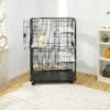 Frisco Collapsible Wire Cat Cage Playpen