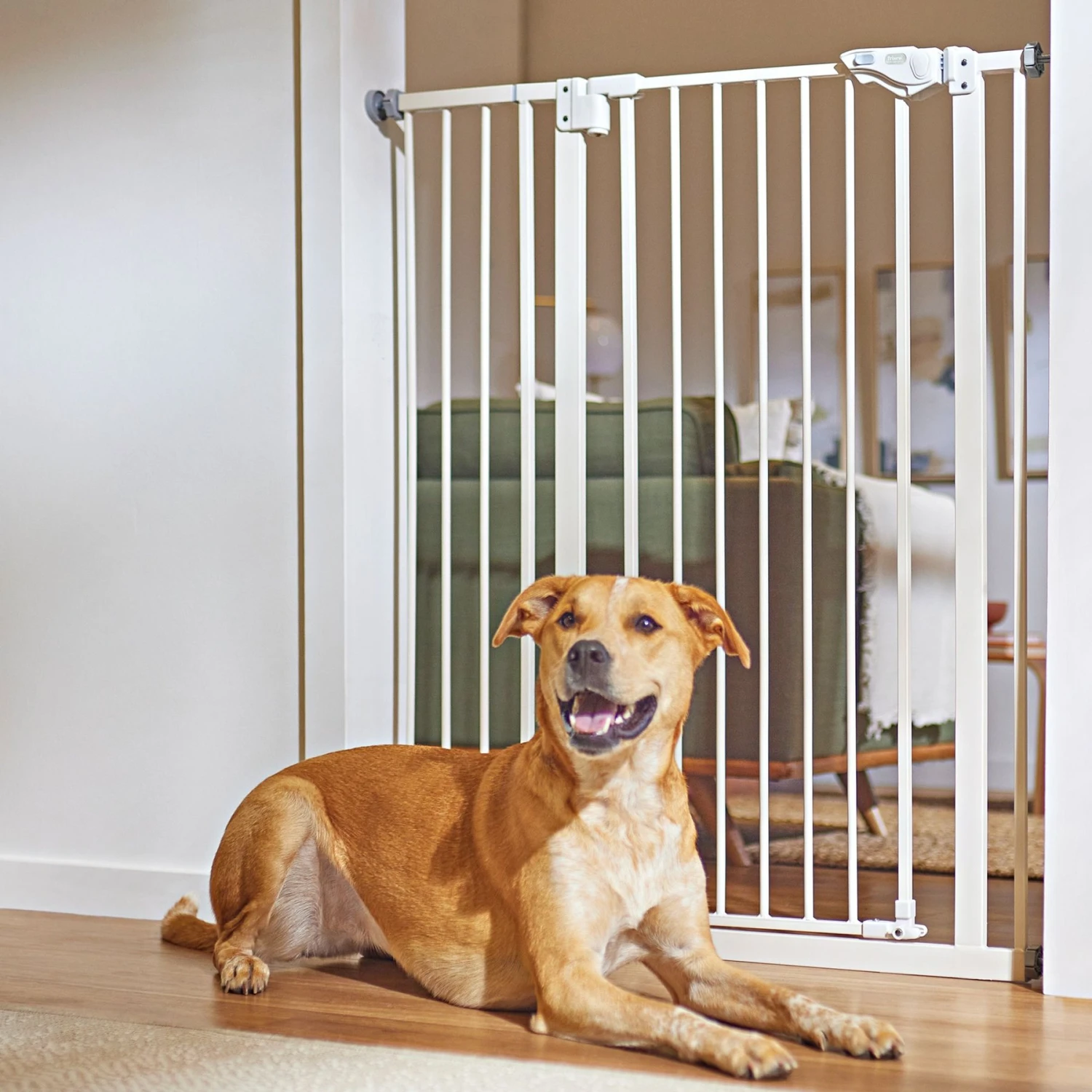 Frisco Steel Extra Tall Auto-Close Dog Gate 1 Frisco Steel Extra Tall Auto-Close Dog Gate