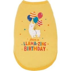 Frisco Llama-zing Birthday Dog & Cat T-Shirt -Meowverse Store 191240 PT2. AC SS1800 V1582053523