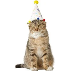 Frisco Confetti Dog & Cat Birthday Hat 8 Frisco Confetti Dog & Cat Birthday Hat -Meowverse Store 191274 PT2. AC SS1800 V1582053206