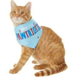Frisco Pawtriot Dog & Cat Bandana 9 Frisco Pawtriot Dog & Cat Bandana -Meowverse Store 191277 PT2. AC SS1800 V1584623825