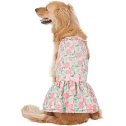 Frisco Pink Floral Dog & Cat Dress -Meowverse Store 191295 PT2. AC SS1800 V1637653354