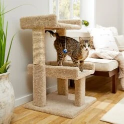Frisco 32-in Real Carpet Wooden Cat Tree With Toy