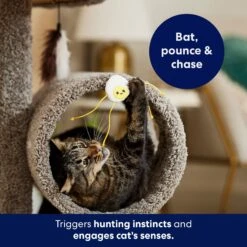 Frisco Plush Dangly Egg Buddy Cat Toy With Catnip 8 Frisco Plush Dangly Egg Buddy Cat Toy With Catnip -Meowverse Store 213844 PT5. AC SS1800 V1691784029