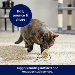 Frisco Dangly Avocado Buddy Plush Cat Toy With Catnip 8 Frisco Dangly Avocado Buddy Plush Cat Toy With Catnip -Meowverse Store 213846 PT5. AC SS1800 V1691784029