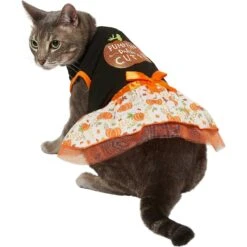 Frisco Pumpkin Patch Cutie Dog & Cat Dress 8 Frisco Pumpkin Patch Cutie Dog & Cat Dress -Meowverse Store 215784 PT2. AC SS1800 V1632429076