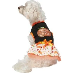 Frisco Pumpkin Patch Cutie Dog & Cat Dress 9 Frisco Pumpkin Patch Cutie Dog & Cat Dress -Meowverse Store 215784 PT3. AC SS1800 V1632430875