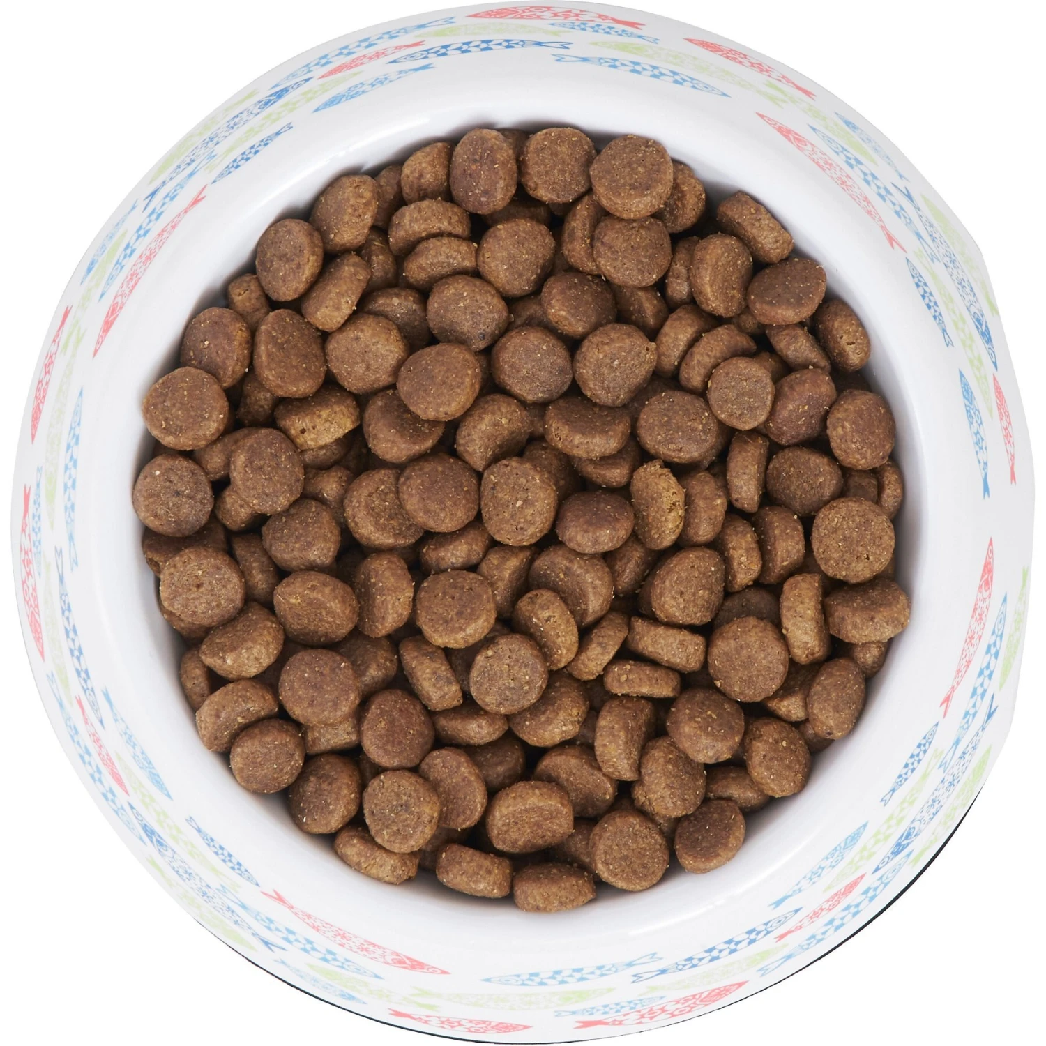 Frisco Colorful Fish Melamine Bowl 5 Frisco Colorful Fish Melamine Bowl - Image 5