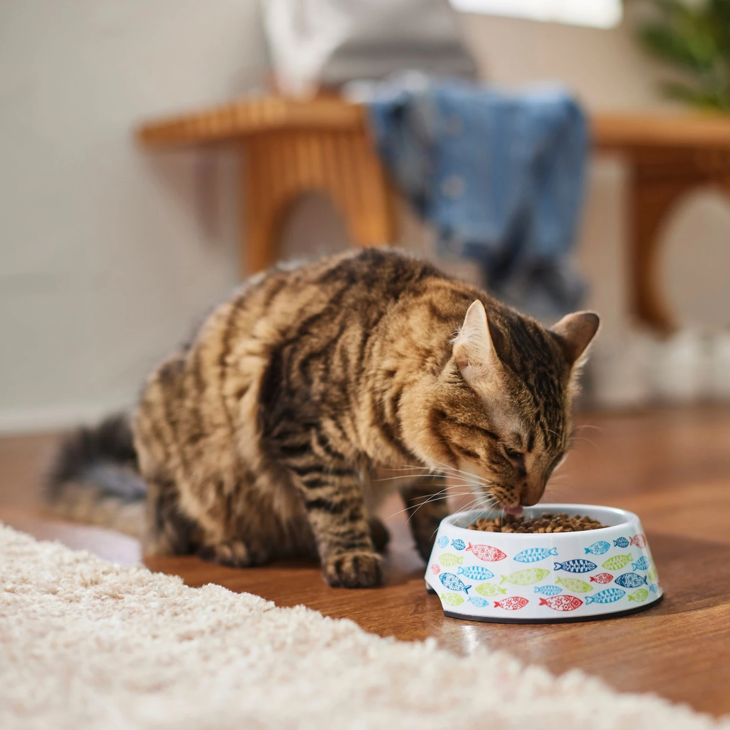 Frisco Colorful Fish Melamine Bowl 6 Frisco Colorful Fish Melamine Bowl - Image 6