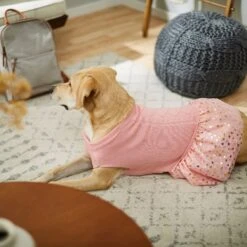 Frisco Cable Knit Dog & Cat Sweater Dress -Meowverse Store 223706 PT7. AC SS1800 V1599921696