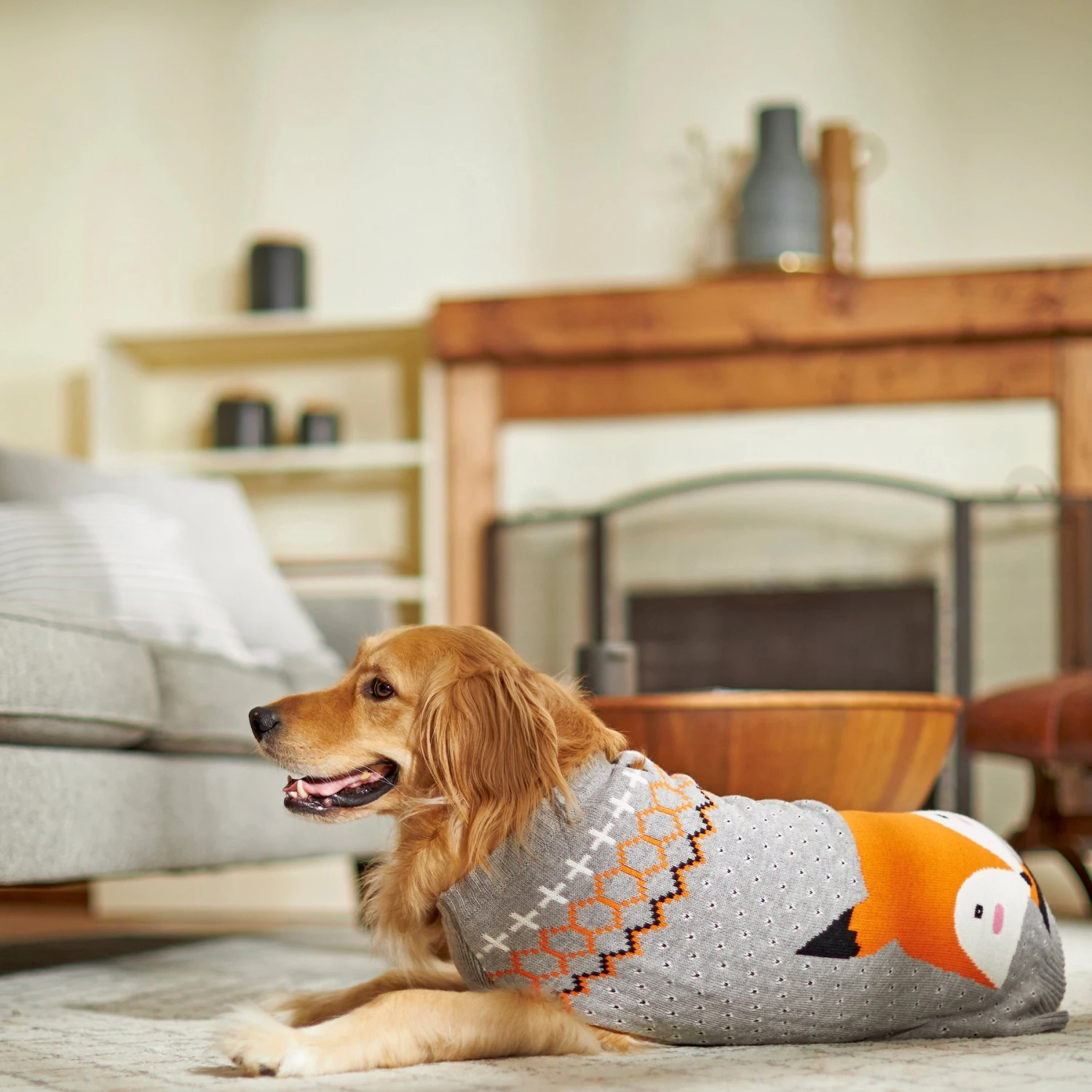 Frisco Fox Dog & Cat Sweater 6 Frisco Fox Dog & Cat Sweater - Image 6