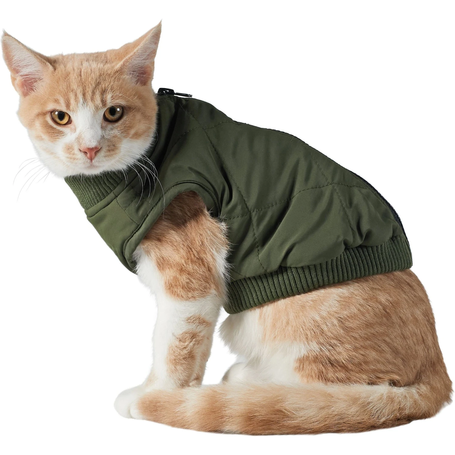 Frisco Lightweight Insulated Bomber Dog & Cat Jacket 3 Frisco Lightweight Insulated Bomber Dog & Cat Jacket - Image 3