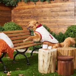 Frisco Quilted Water-Resistant Reversible Insulated Dog & Cat Jacket 13 Frisco Quilted Water-Resistant Reversible Insulated Dog & Cat Jacket -Meowverse Store 223922 PT7. AC SS1800 V1601579158