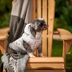 Frisco Mediumweight Silver Polka Dotted Insulated Dog & Cat Coat 13 Frisco Mediumweight Silver Polka Dotted Insulated Dog & Cat Coat -Meowverse Store 224017 PT7. AC SS1800 V1601579462