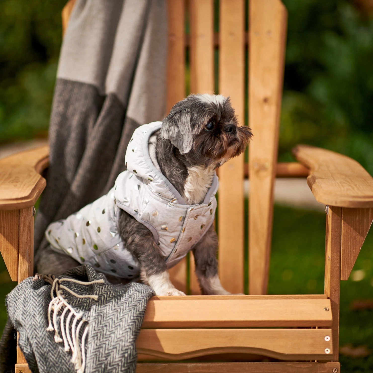 Frisco Mediumweight Silver Polka Dotted Insulated Dog & Cat Coat 7 Frisco Mediumweight Silver Polka Dotted Insulated Dog & Cat Coat - Image 7