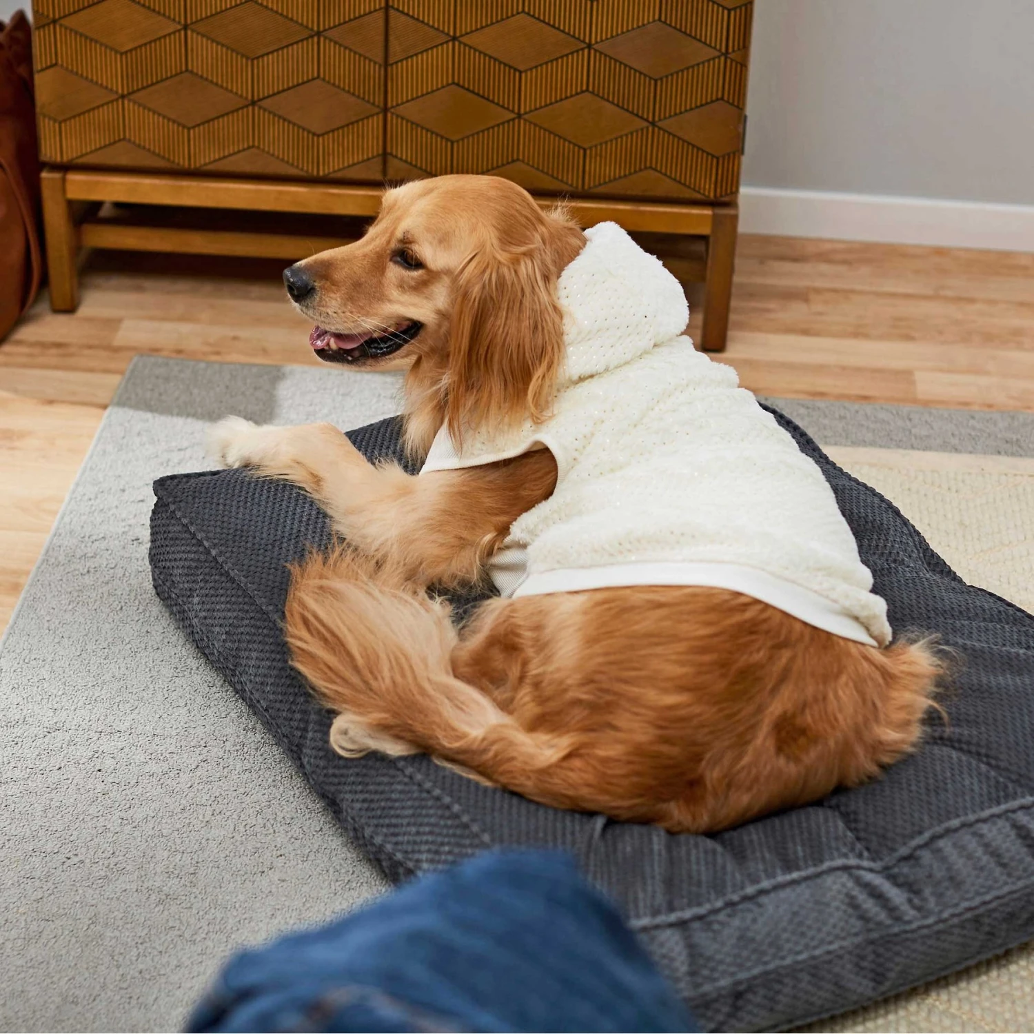 Frisco Plush Fur Dog & Cat Hoodie 8 Frisco Plush Fur Dog & Cat Hoodie - Image 8