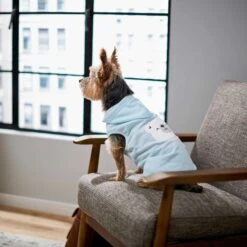 Frisco Mommy's Little Bear Dog & Cat Hoodie 14 Frisco Mommy's Little Bear Dog & Cat Hoodie -Meowverse Store 224272 PT6. AC SS1800 V1637715724