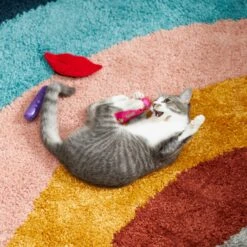 Frisco Retro Lip Gloss Plush Cat Toy With Catnip, 3 Count -Meowverse Store 230274 PT3. AC SS1800 V1602639773