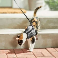 Frisco Wrap Cat Harness -Meowverse Store 230691 PT5. AC SS1800 V1601096758