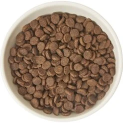 Frisco Double-Sided Ceramic Elevated Cat Bowl 9 Frisco Double-Sided Ceramic Elevated Cat Bowl -Meowverse Store 232081 PT3. AC SS1800 V1605145964