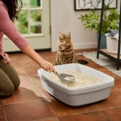 Frisco Tofu Clumping Cat Litter -Meowverse Store 232117 PT4. AC SS1800 V1659546420