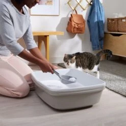 Frisco Micro Crystal Unscented Clumping Crystal Cat Litter -Meowverse Store 232119 PT4. AC SS1800 V1660944685