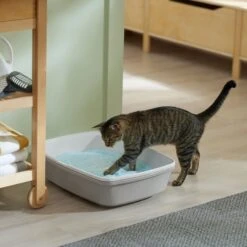 Frisco Micro Crystal Unscented Non-Clumping Crystal Cat Litter -Meowverse Store 232121 PT4. AC SS1800 V1659546416